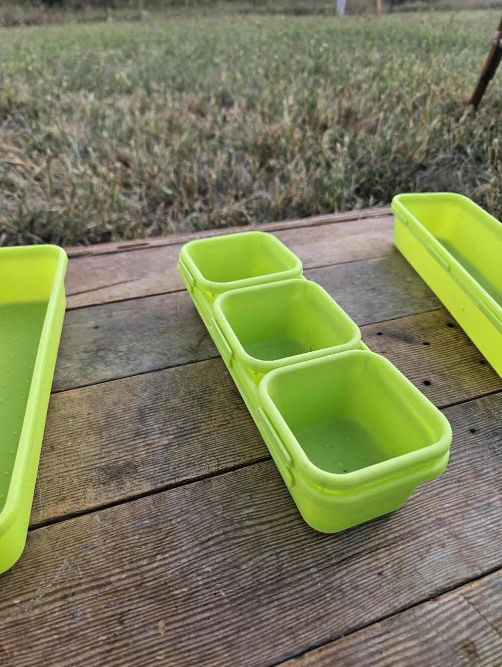 N/A versatile lime